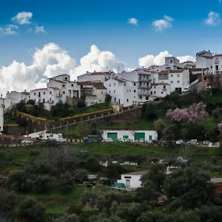 El Molino De Aceite