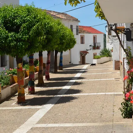 El Molino De Aceite Country house