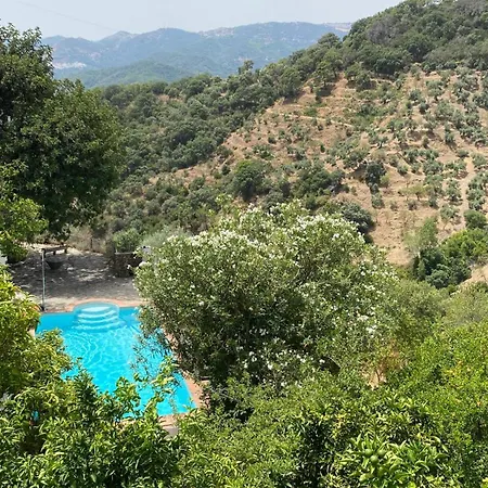 Country house El Molino De Aceite *